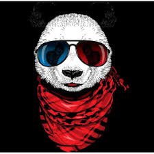 pklovedog's profile picture. 