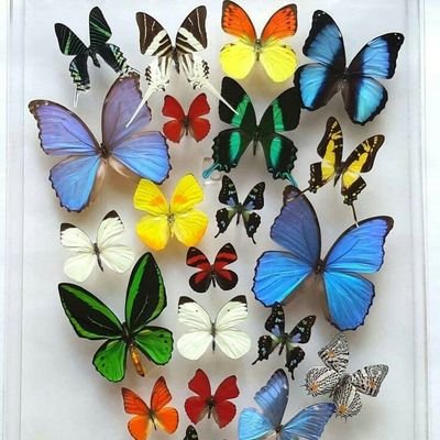 bleeessiinnggg's profile picture. 