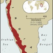 Grants for Biodiversity Conservation in the Western Ghats