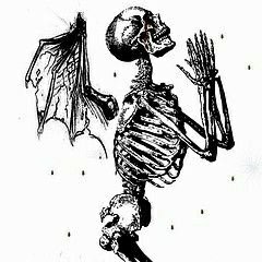 foetalmrbeetle's profile picture. Here to play with ideas. Assertion ≠ endorsement