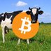 Crypto Cow (@cowcoins) Twitter profile photo Crypto Cow (@cowcoins) Twitter profile photo
