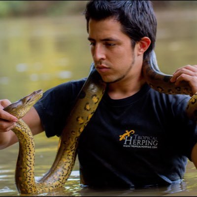 Fotoperiodista de naturaleza y conservación - Biólogo / Co-fundador @saviafund & @TropicalHerping / Miembro de @ILCP / Ecuatoriano 🇪🇨Cuenta personal