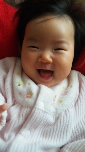 渡辺健太郎 Familiarch Twitter 渡辺健太郎 Familiarch Twitter