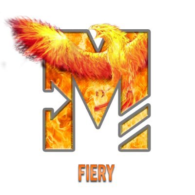 Player for Team Motion Gaming