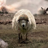 robinlarder (@robinlarder) 's Twitter Profile
