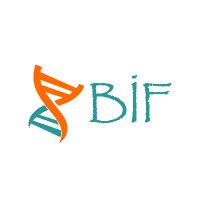 Eskişehir Borsa İstanbul Fen Lisesi (@bifle26) 's Twitter Profile Photo