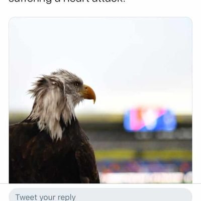 MuyulaStan's profile picture. lawyer/subscribes to social equity/

Commercial and Conveyancing law/legal TEC ethusiast..