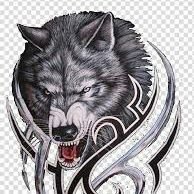 mtripp543_m's profile picture. I play minecraft pe ,call of duty mobile, and my game name is prowolfefang and my ps4 name is PROWOLFE_FANG_20