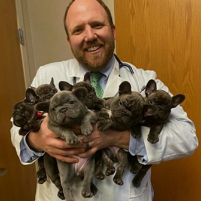 BurnaJohnson's profile picture. pet sales
pet doctor
email burnajohnson01@gmail. cm