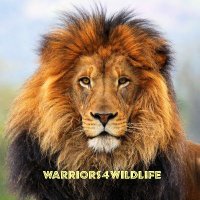 Warriors4Wildlife_Int™ 🌐Ⓥ🐾(@W4W_Int) 's Twitter Profile Photo