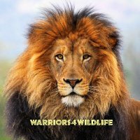 Warriors4Wildlife_Int™ 🌐Ⓥ🐾 (@w4w_int) 's Twitter Profile Photo Warriors4Wildlife_Int™ 🌐Ⓥ🐾 (@w4w_int) 's Twitter Profile Photo