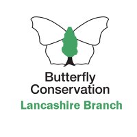 Lancs Butterfly Conservation(@BC_Lancs) 's Twitter Profileg