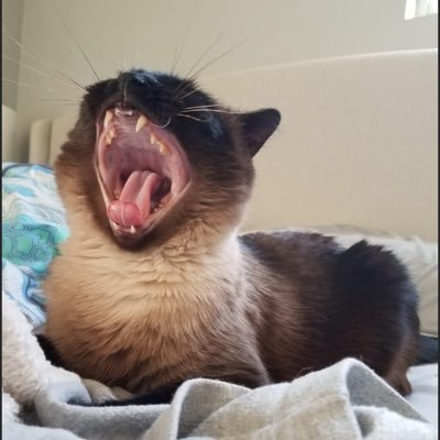 siusrs's profile picture. 