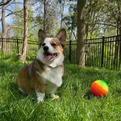 CerioneChloe's profile picture. Cornell Chemistry and Chemical Biology ‘22