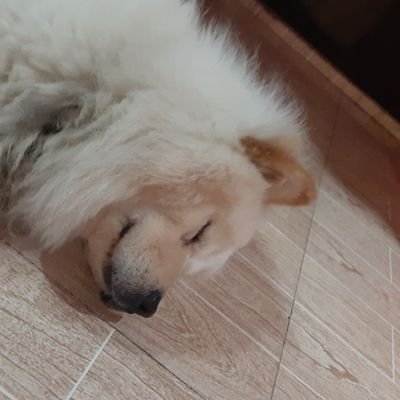 glendamagno6's profile picture. 