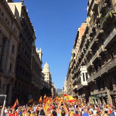 Partido Popular. Diputada del Parlament (2003/2010), Concejal del Ayuntamiento BCN (2011-2015). Consellera Dto. de Sarrià-Sant Gervasi (BCN)