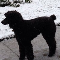 David Beach (@funkadunk99) 's Twitter Profile