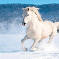 Puzziler (@puzziler) Twitter profile photo