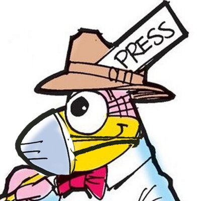 I'm the bird-in-chief at the St. Louis Post-Dispatch. To be honest, my feathers are having more and more trouble tapping tweets.