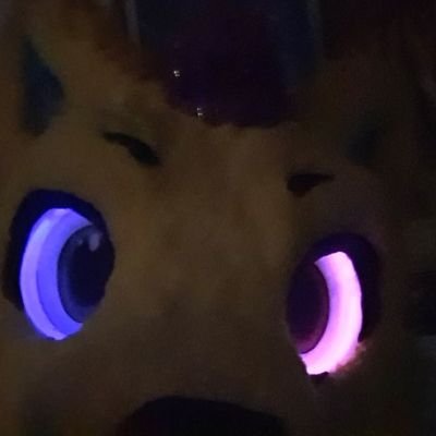 Roxo 💜 Pokémon Amino Em Português Amino