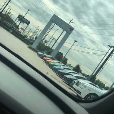 Syn1h0l's profile picture. Hi