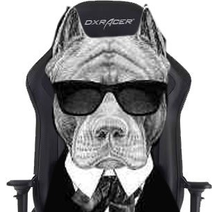 Pitbullocogamer's profile picture. 