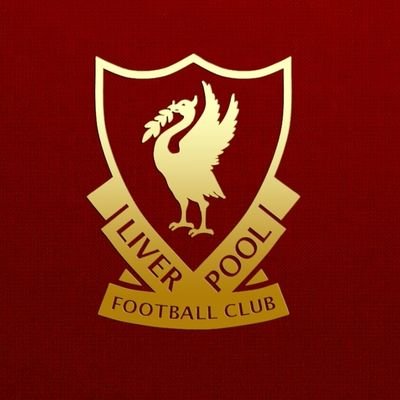 🇮🇪 up the DUBS💙. ☘️COYBIG, LFC. JFT97. Where words fail, music speaks. YNWA, 🚒 ✈️, love is energy, 🎸 🎶 🎵