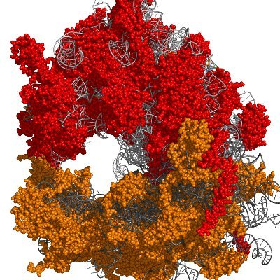 The Woolford Lab, Department of Biological Sciences, Carnegie Mellon University - Established 1979