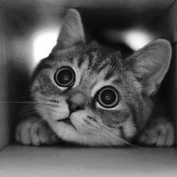Cashew_J05's profile picture. Live n Let live.