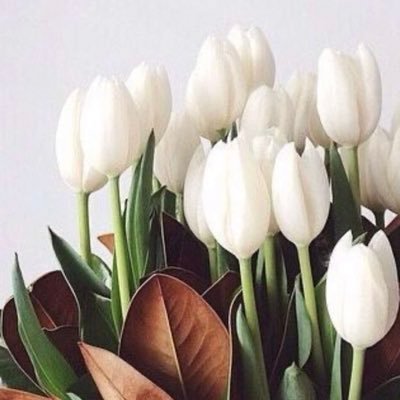 Ghadah_alzaidi's profile picture. أستاذ المناهج والإشراف التربوي المساعد بجامعة أم القرى- مدربة معتمدة من (المؤسسة العامة للتدريب التقني والمهني، وزارة التعليم)- مهتمة بالتدريب والبحث العلمي