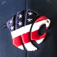 WesleyChapel Baseball (@wesleychapelb) 's Twitter Profile