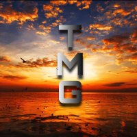 TMG (@t_m_g13) 's Twitter Profile