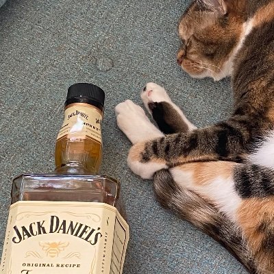 ScullyThacker's profile picture. 