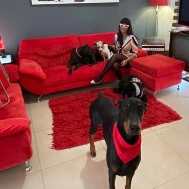 wonderwoman022's profile picture. 