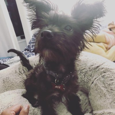 TySoWavey24's profile picture. Tyler Bacchus|Put you in the ground but I see you in the stars ⭐️RIP Mom❤️| CancerLeo Cusp ♋️♌️Only one above me is God .Quotes