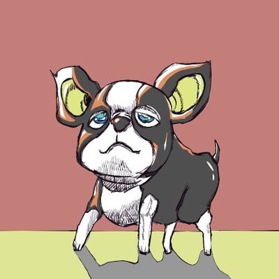 タコス🌮さんのプロフィール画像