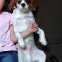 ムームームー (@mugagomu) Twitter profile photo