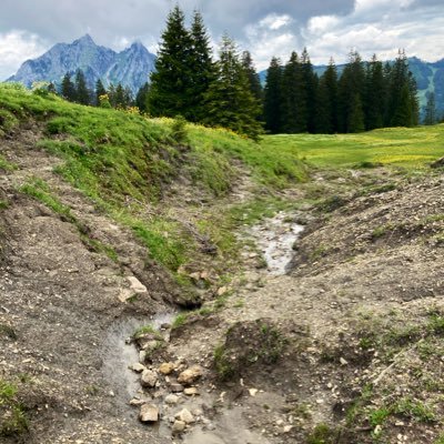 Exploring catchment hydrology and water quality of temporary streams in Switzerland. #fieldhydrology #stableisotopes @EPFL_en