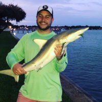 Jacob (@sharepointlife) 's Twitter Profile