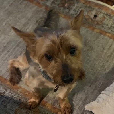 ruben32157921's profile picture. 