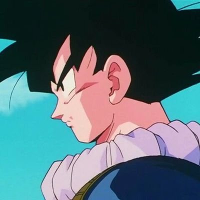 Perfil de Son Goku