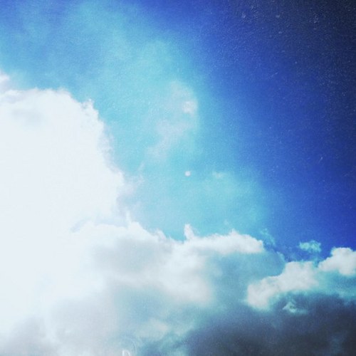 Tatsukiii16's profile picture. 