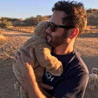 andrew (@ajr) 's Twitter Profile