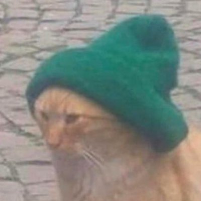 badaboutthat's profile picture. No fat chicks