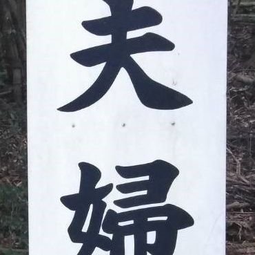 7Rをプレイしたら二十数年の時空を越えてcとtに爆発した垢です。めちゃくちゃ壁打ち。面倒でかまってちゃんには対応する時間はありません