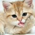 Ульяна Николаева (@ncriucu58dsi1za) Twitter profile photo Ульяна Николаева (@ncriucu58dsi1za) Twitter profile photo
