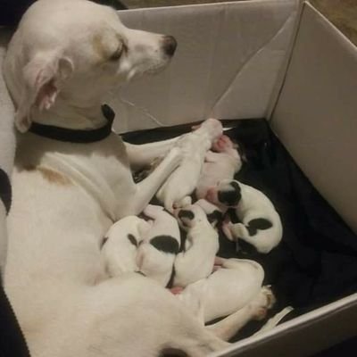 ScottyCoe9's profile picture. I'm a Male I love having fun