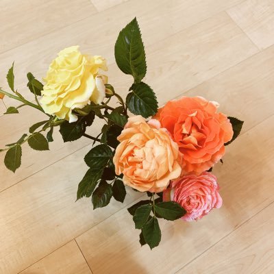 riekana77's profile picture. 2023娘と2025息子を育てるフルタイムWM。 私自身は附属内進母校Love♡でも子供たちには合う学校を自分で選んで欲しい。N2023娘はおっとり🎻🎨少女→第一志望都内女子校🌸 2025息子は理数塾→第一志望都内男子校🌸 娘校は自由と手厚さの好バランス、息子校は自由放任型の代名詞。