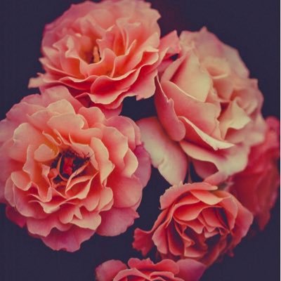 Sweta34589508's profile picture. Socially and Politically aware, believe in Gender Equality