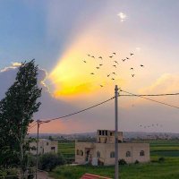 الغامدي (@a8oluyaxrz1vdxv) 's Twitter Profile